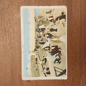 Vintage post card:  Melbourne, Florida